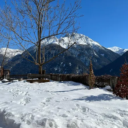 Gartenwohnung Appartement