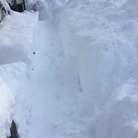 Gartenwohnung Appartement *